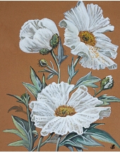 Affiche art floral - marguerites blanches