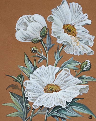 Affiche art floral - marguerites blanches