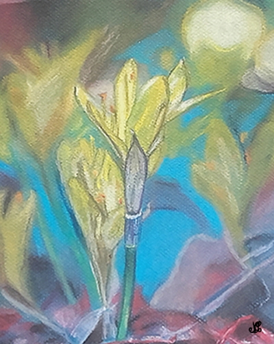 Affiche de fleurs - coeurs de crocus jaune