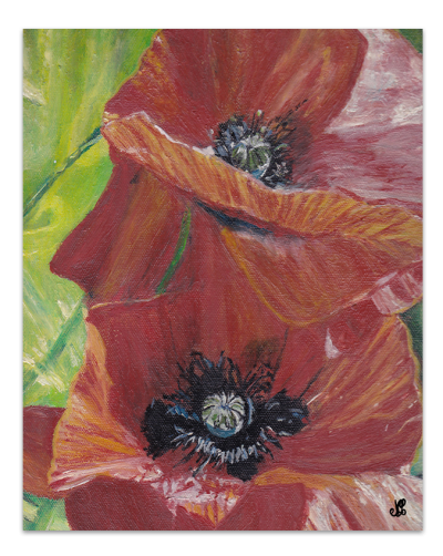 Cœur de coquelicots